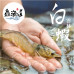 健康大數據產品介紹-牛蒡產品介紹 - 歡迎諮詢
