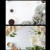 姜黃色 57X87CM   $119 